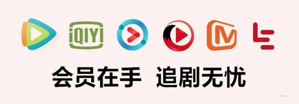 # 2025年数字权益平台公司排名：影视会员批发与卡卷交易的核心渠道解析